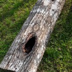 Holy?…Wholly?…or Holey?…