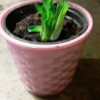 Good Times & Bad Times All at the Same Time