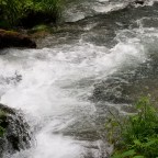 The Reality of Life’s Rapids