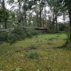 Stories From the Storm