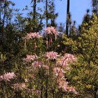 Changing Seasons (Guest Author – Sadie Johnson)