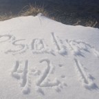 Desires of the Heart