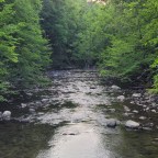 Anticipation and Agitation